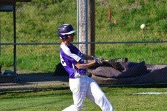 HSBaseballBuckhornvsLeeCo4-19-21TMSVA-17