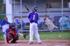 HSBaseballBuckhornvsLeeCo4-19-21TMSVA-187