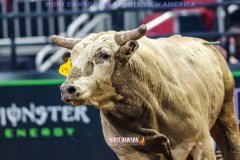 PBRRodeoLouisvilleKY3-27-21MDSVA-33